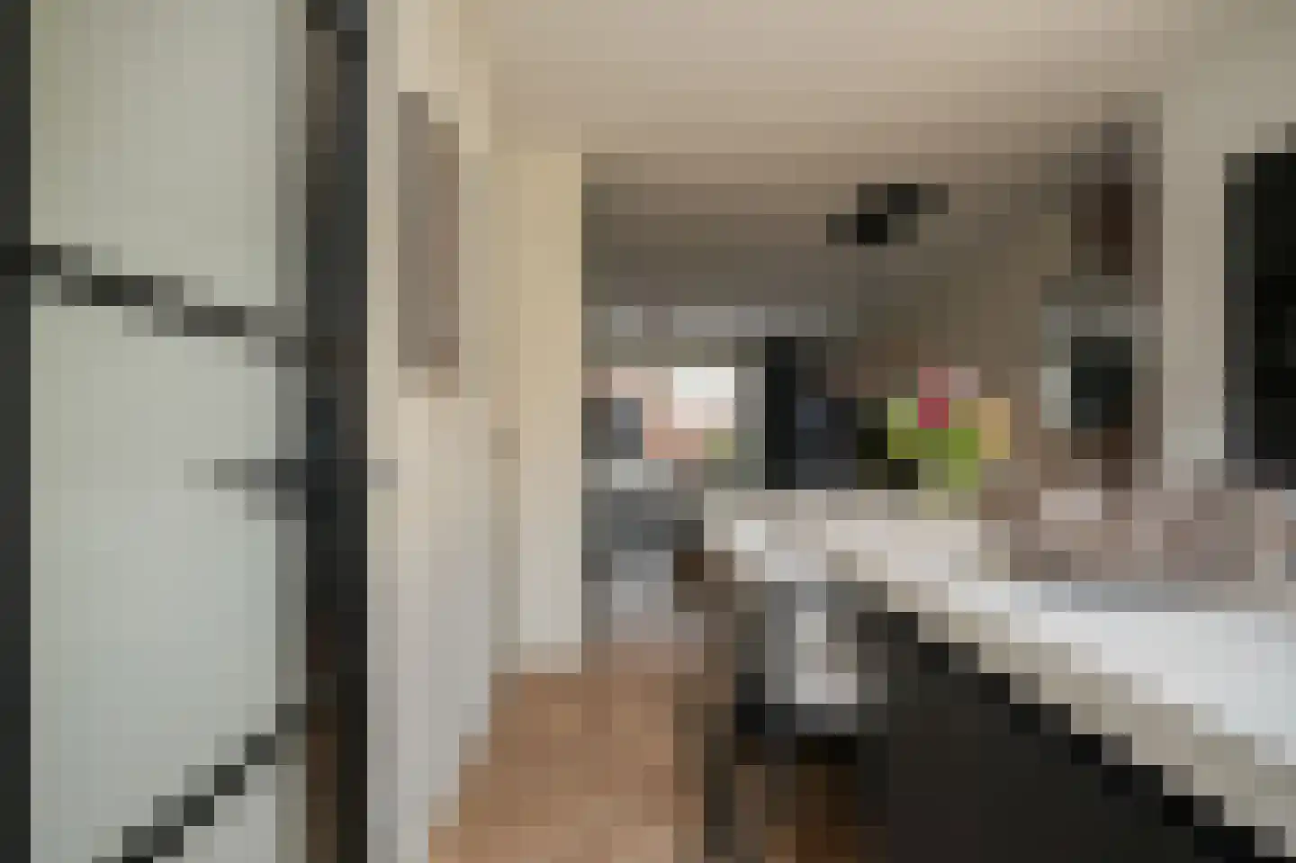 Lisdoddestraat 63 Beneden-Leeuwen thumbnail 20