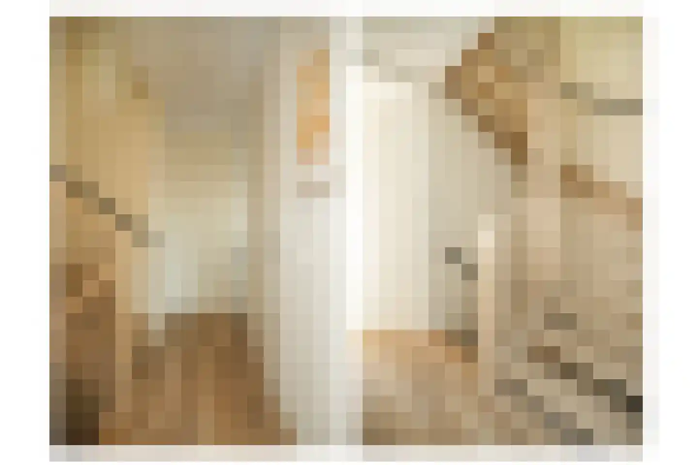 Lisdoddestraat 63 Beneden-Leeuwen thumbnail 34
