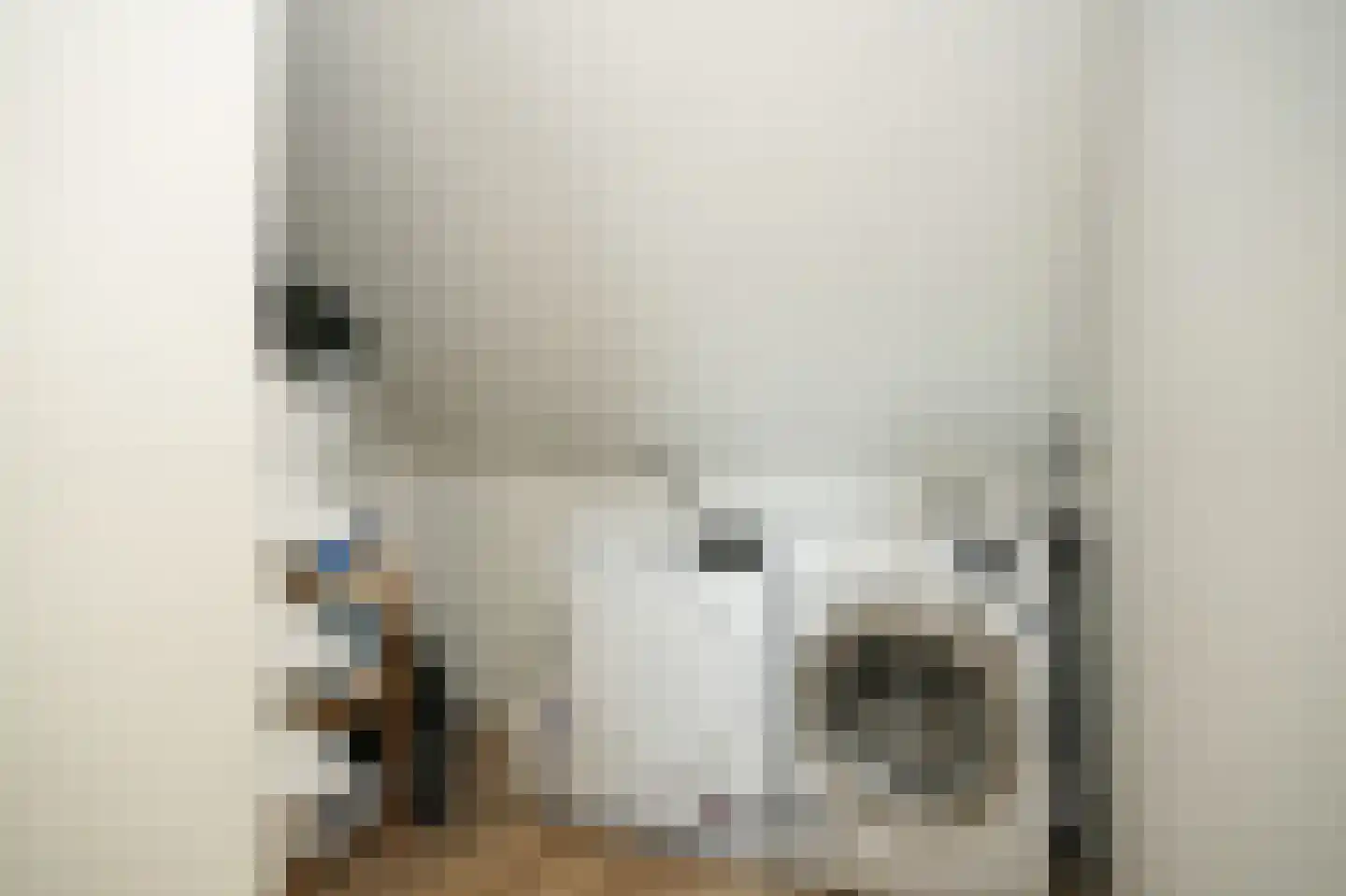 Lisdoddestraat 63 Beneden-Leeuwen thumbnail 37