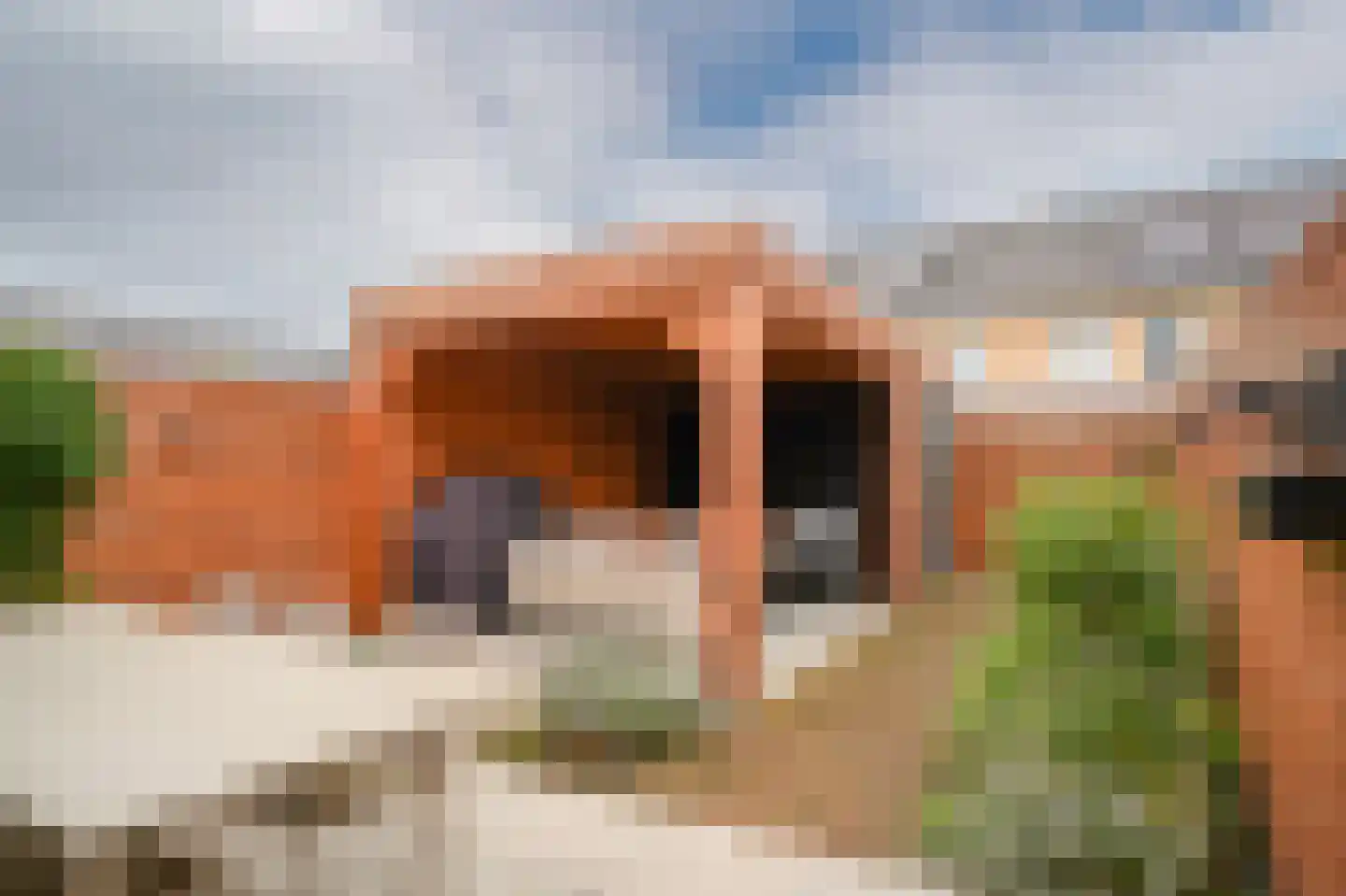 Lisdoddestraat 63 Beneden-Leeuwen thumbnail 39