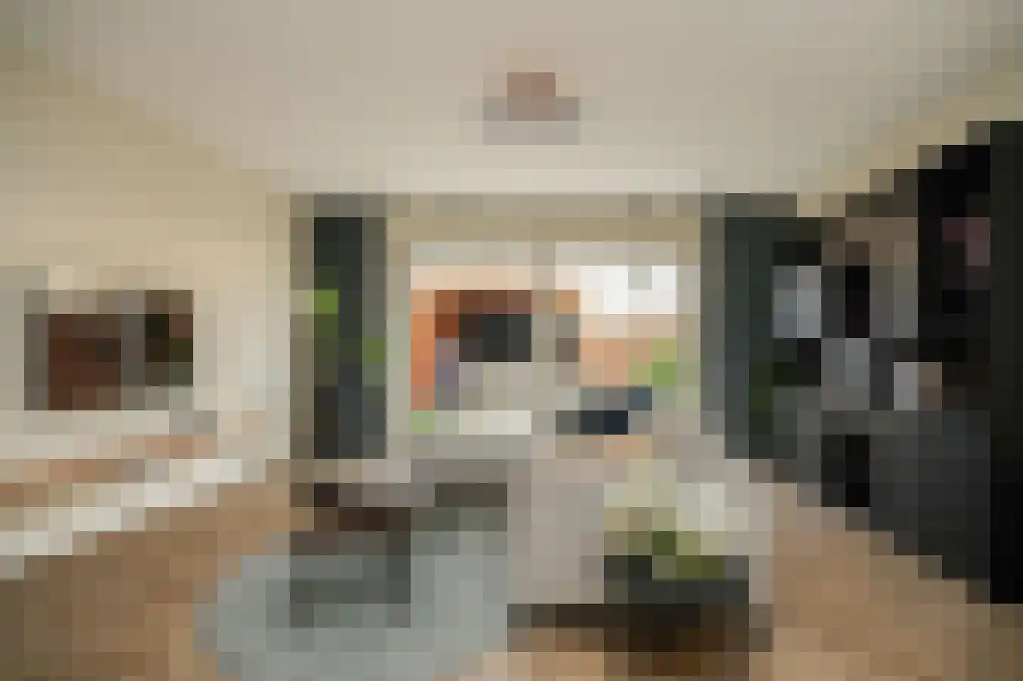 Lisdoddestraat 63 Beneden-Leeuwen thumbnail 4