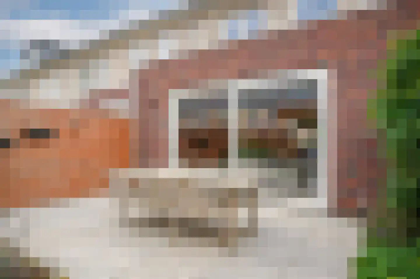 Lisdoddestraat 63 Beneden-Leeuwen thumbnail 44