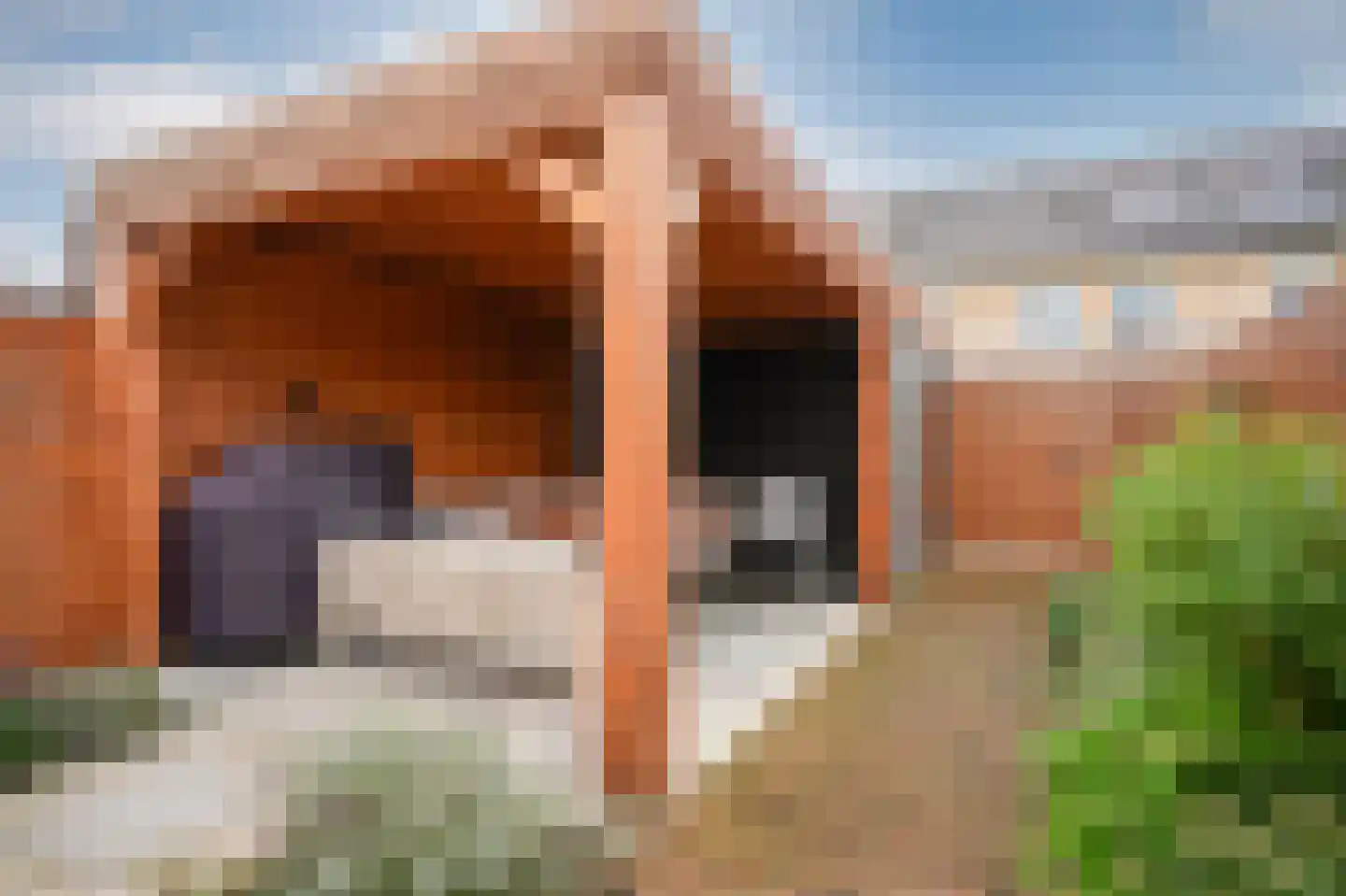 Lisdoddestraat 63 Beneden-Leeuwen thumbnail 45