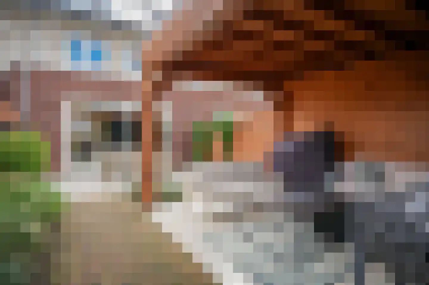 Lisdoddestraat 63 Beneden-Leeuwen thumbnail 47