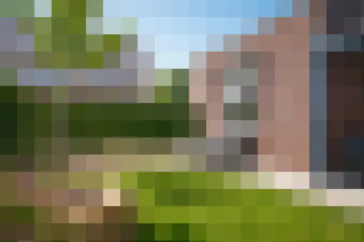 Lisdoddestraat 64 Beneden-Leeuwen thumbnail 33