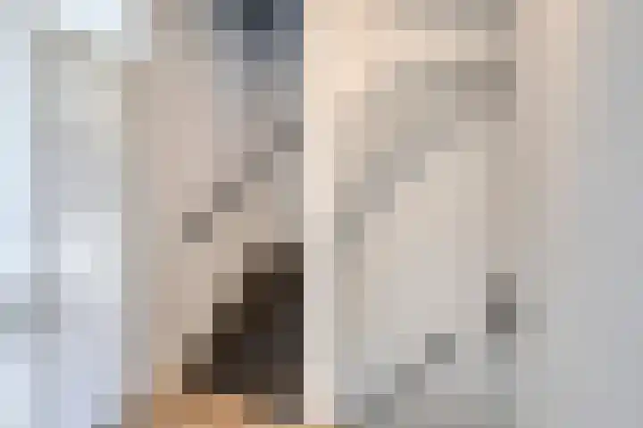 Lisdoddestraat 72 Lisserbroek thumbnail 14