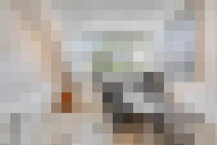 Lisdoddestraat 72 Lisserbroek thumbnail 24
