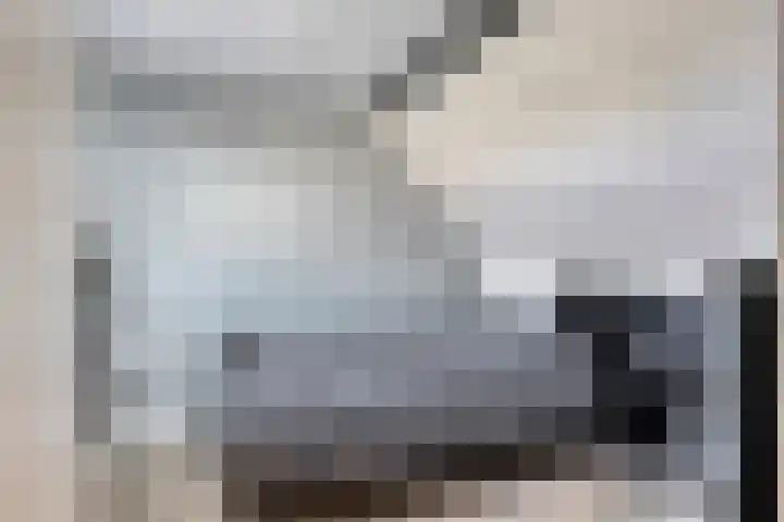 Lisdoddestraat 72 Lisserbroek thumbnail 26