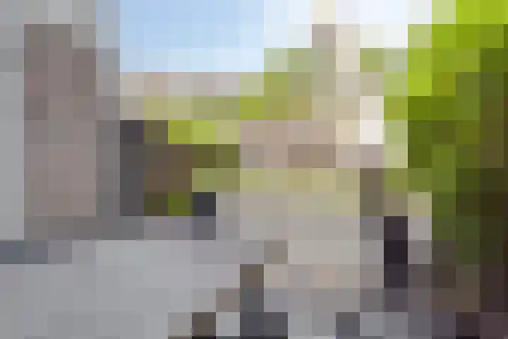 Lisdoddestraat 72 Lisserbroek thumbnail 31