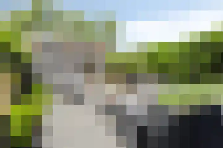 Lisdoddestraat 72 Lisserbroek thumbnail 32