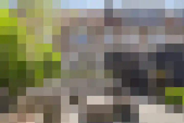 Lisdoddestraat 72 Lisserbroek thumbnail 34