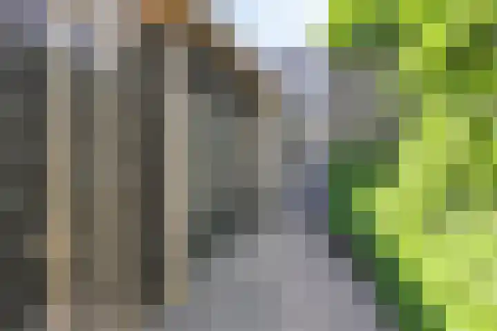 Lisdoddestraat 72 Lisserbroek thumbnail 36