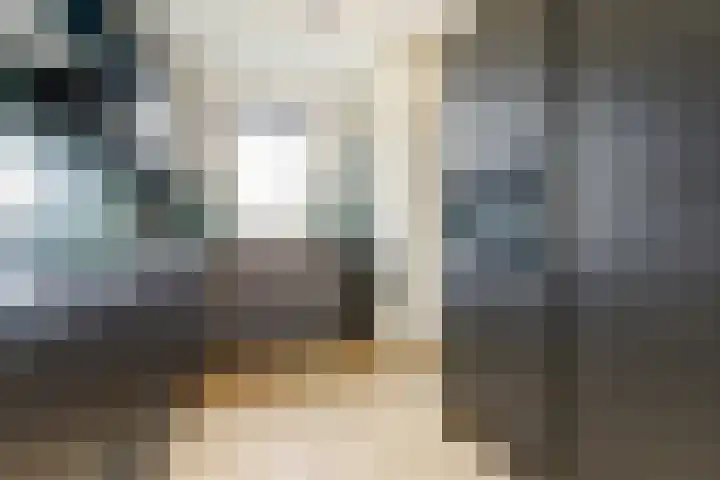 Lisdoddestraat 75 Beneden-Leeuwen thumbnail 12