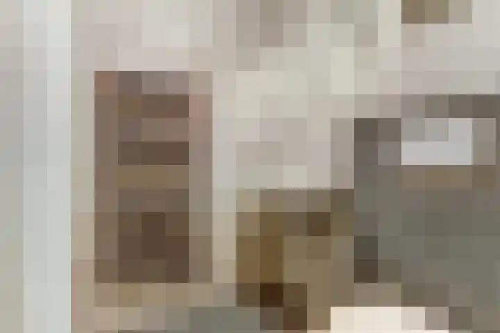 Lisdoddestraat 75 Beneden-Leeuwen thumbnail 23
