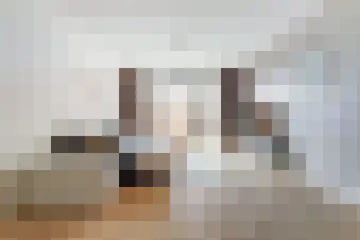 Lisdoddestraat 75 Beneden-Leeuwen thumbnail 4