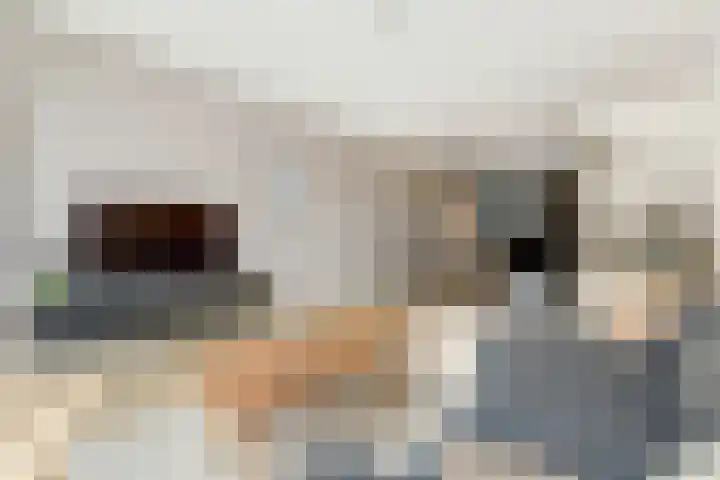 Lisdoddestraat 75 Beneden-Leeuwen thumbnail 5