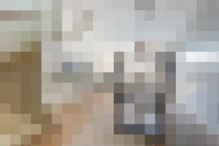 Lisdoddestraat 75 Beneden-Leeuwen thumbnail 9