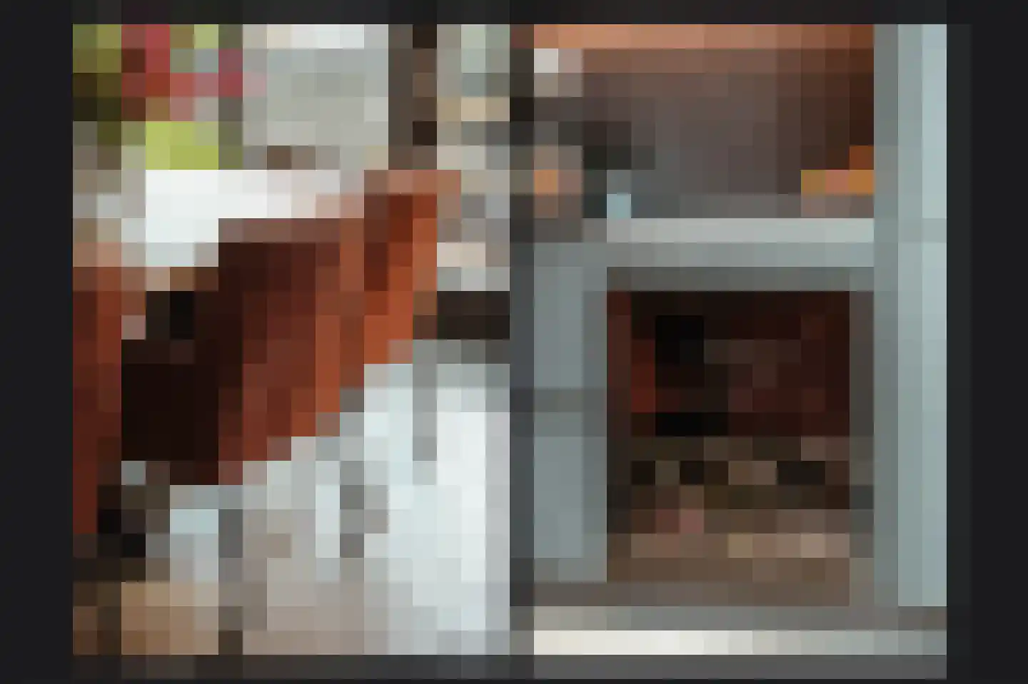 Lisdoddestraat 9 Beneden-Leeuwen thumbnail 13