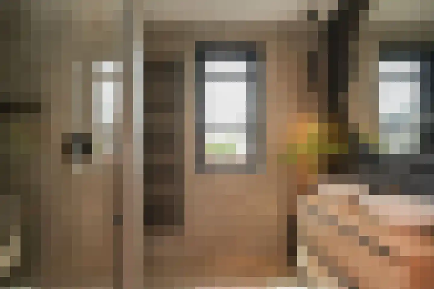 Lisdoddestraat 9 Beneden-Leeuwen thumbnail 19