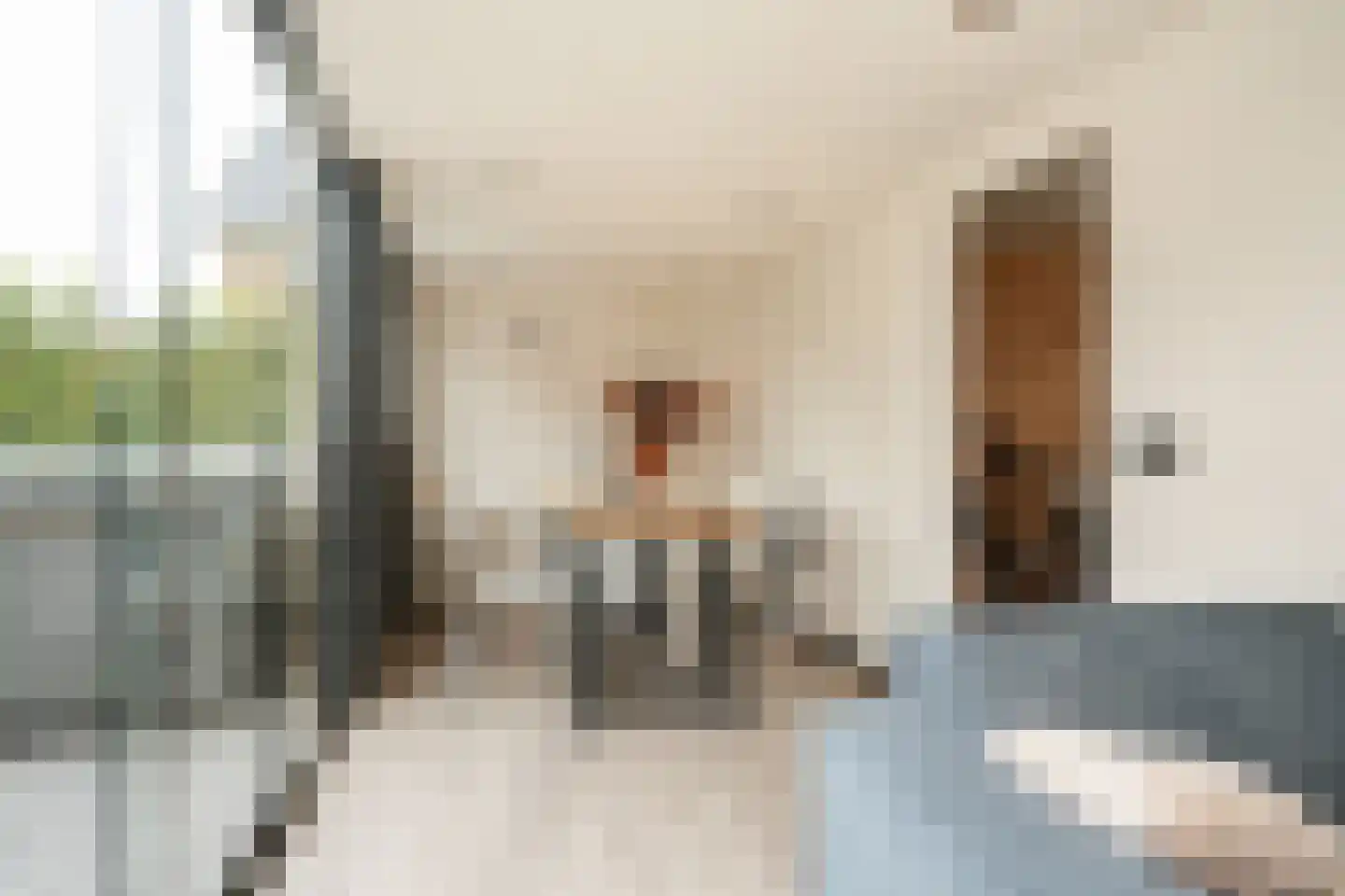 Lisdoddestraat 9 Beneden-Leeuwen thumbnail 33