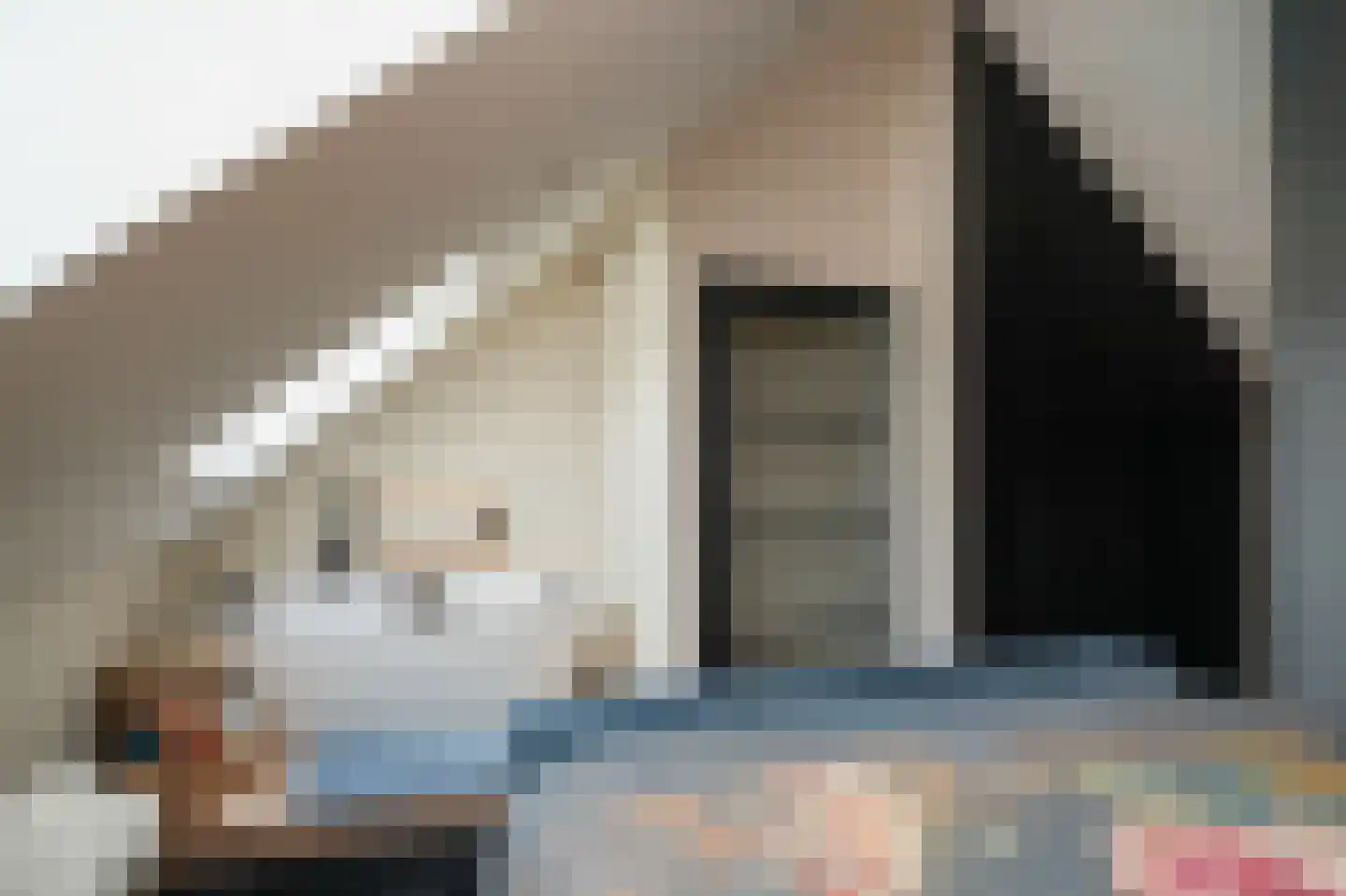 Lisdoddestraat 9 Beneden-Leeuwen thumbnail 5