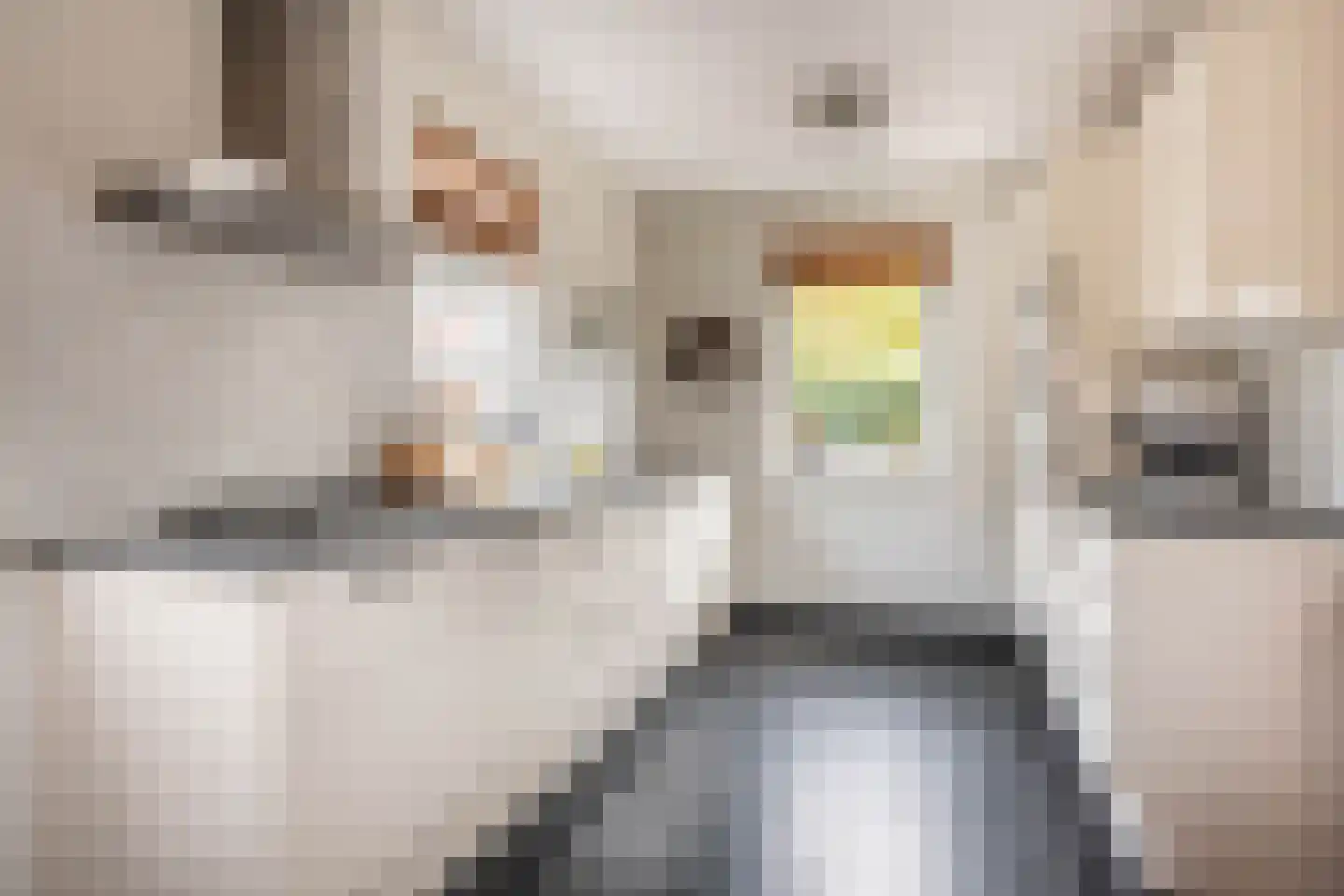 Lisdoddestraat 98 Kudelstaart thumbnail 12