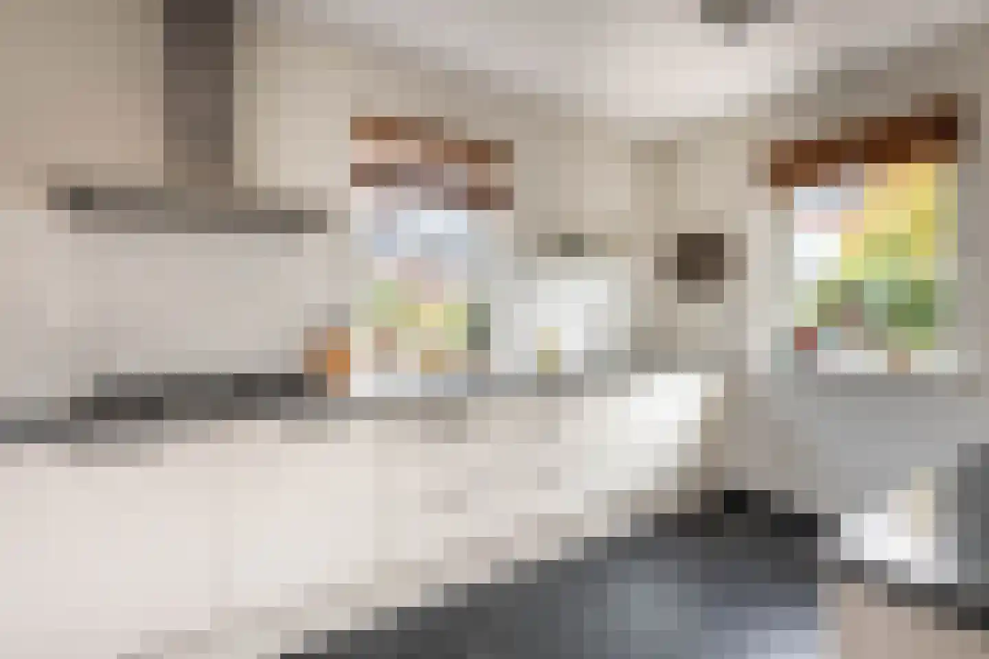 Lisdoddestraat 98 Kudelstaart thumbnail 13