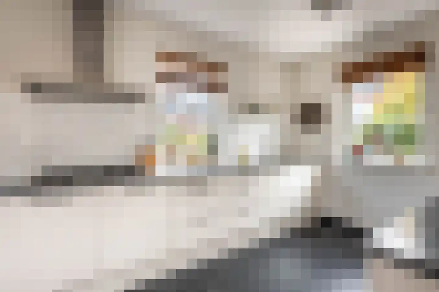 Lisdoddestraat 98 Kudelstaart thumbnail 13