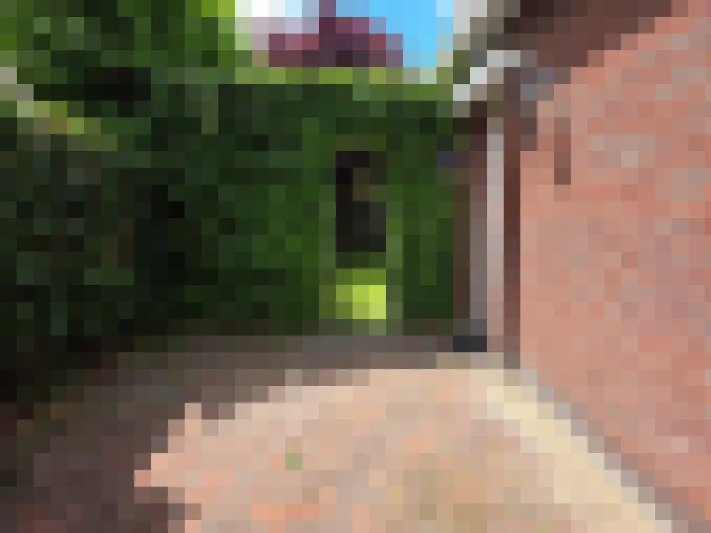 Lisdoddestraat 98 Kudelstaart thumbnail 16