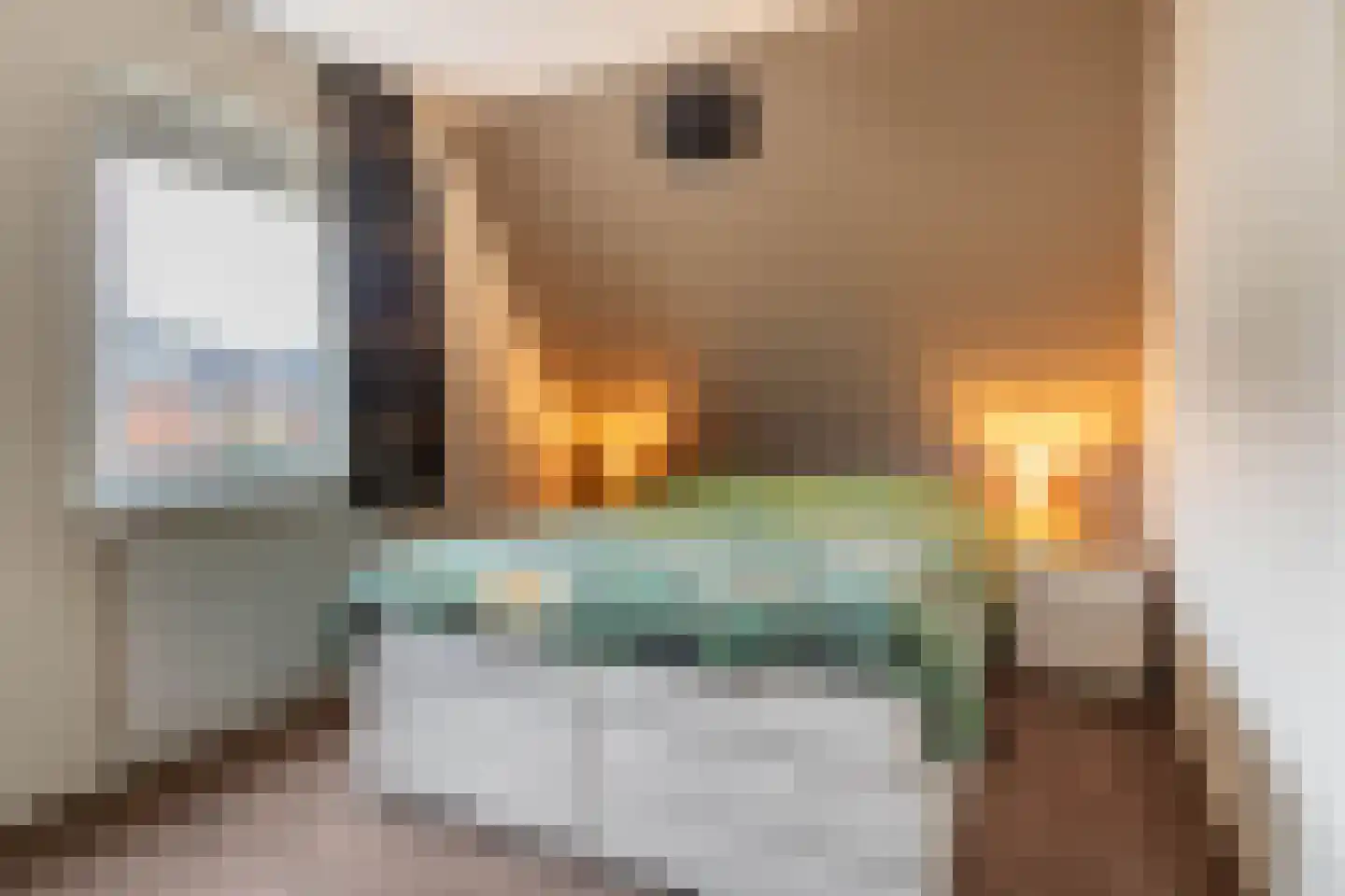 Lisdoddestraat 98 Kudelstaart thumbnail 24