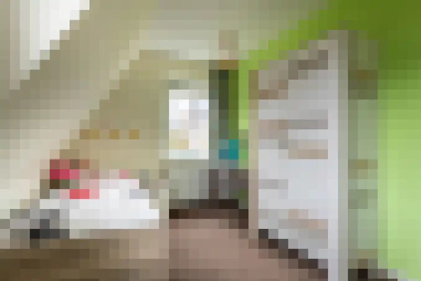 Lisdoddestraat 98 Kudelstaart thumbnail 27