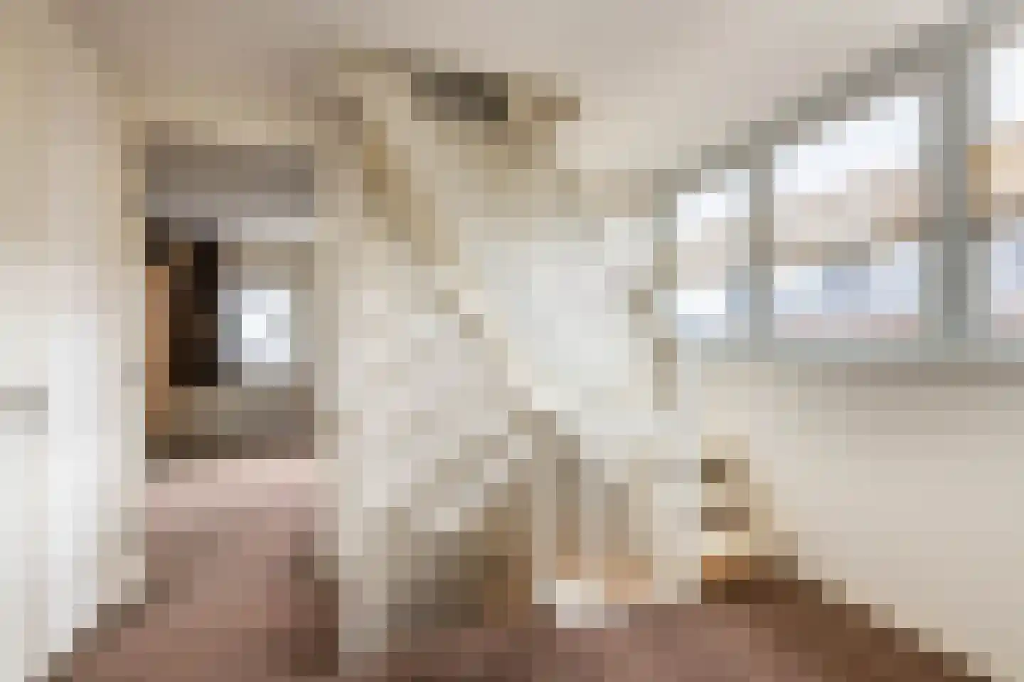 Lisdoddestraat 98 Kudelstaart thumbnail 29