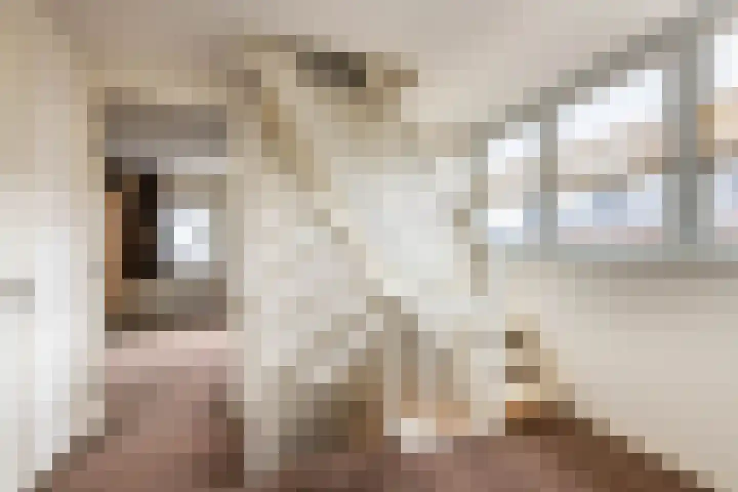Lisdoddestraat 98 Kudelstaart thumbnail 35