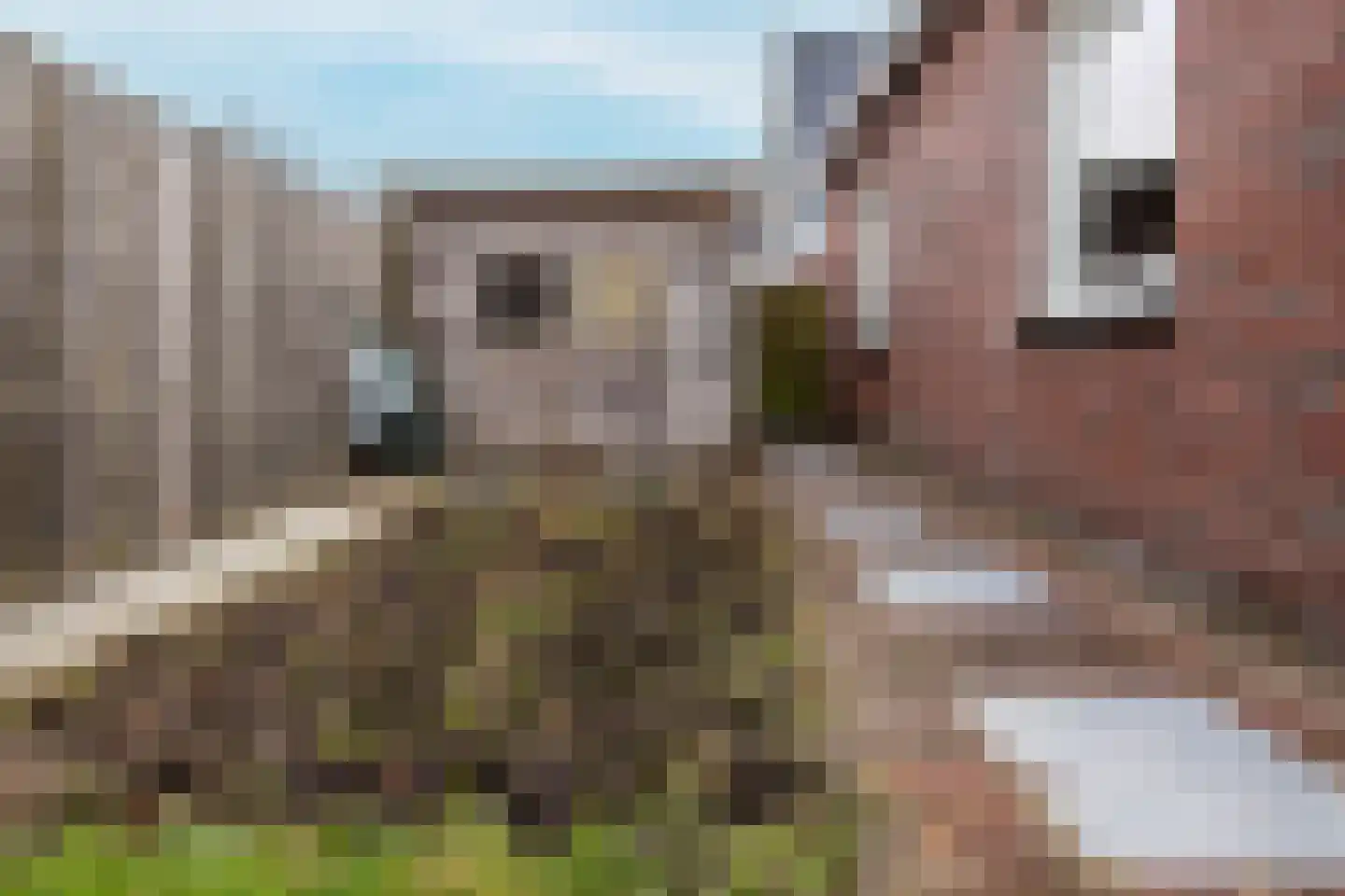Lisdoddestraat 98 Kudelstaart thumbnail 37