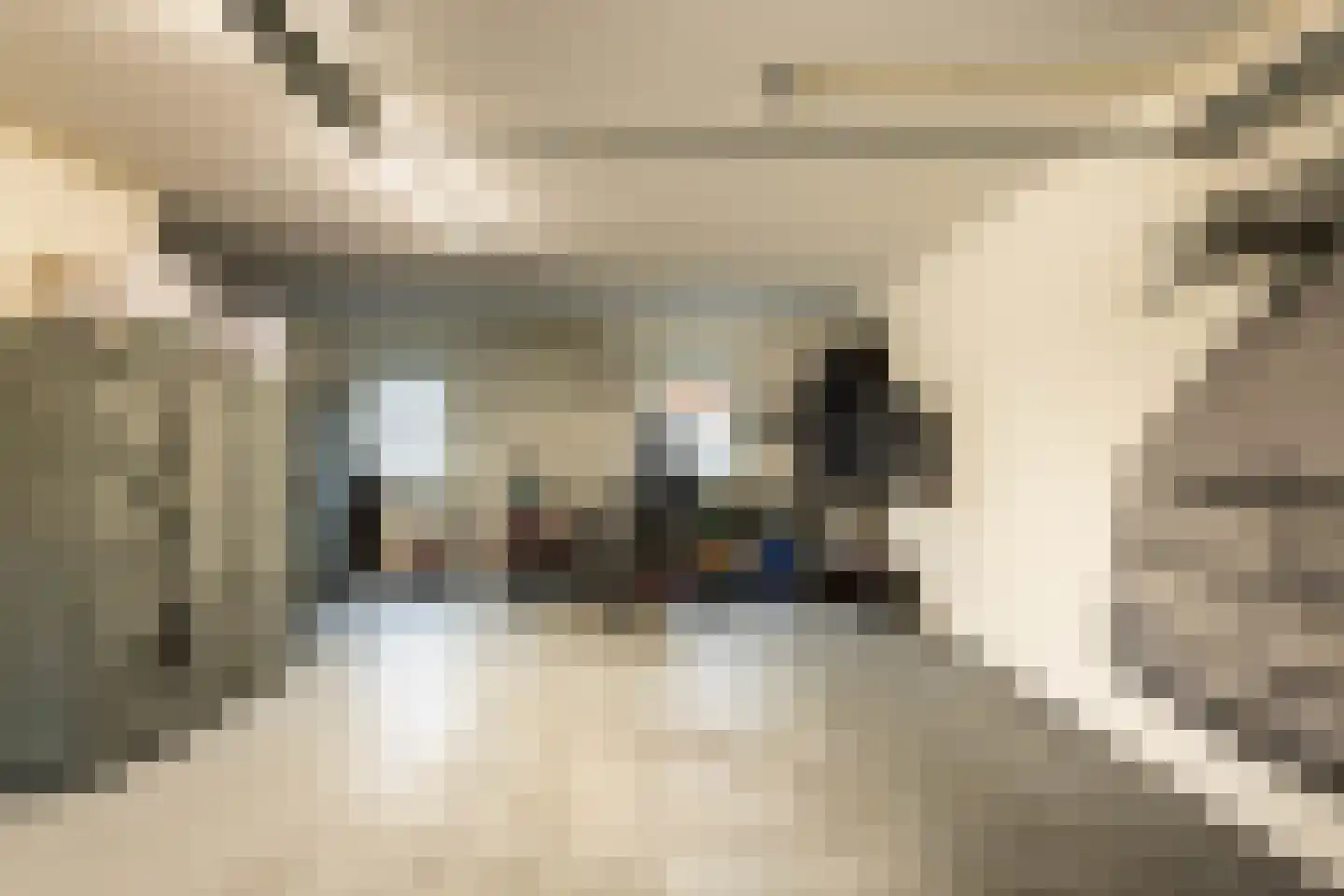 Lisdoddestraat 98 Kudelstaart thumbnail 39