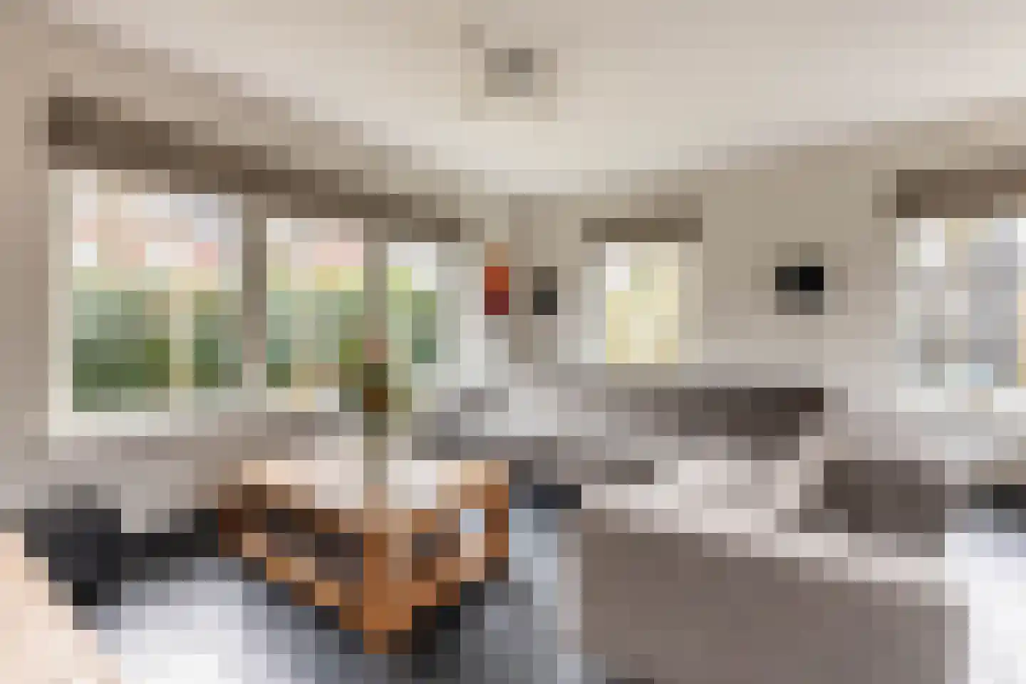Lisdoddestraat 98 Kudelstaart thumbnail 8