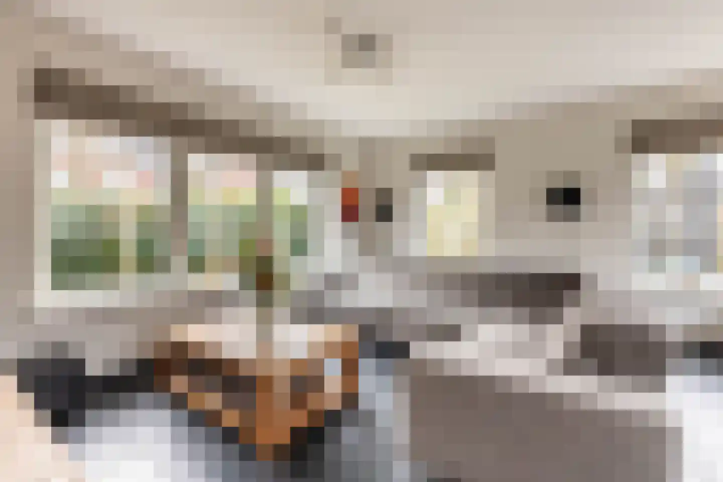 Lisdoddestraat 98 Kudelstaart thumbnail 8