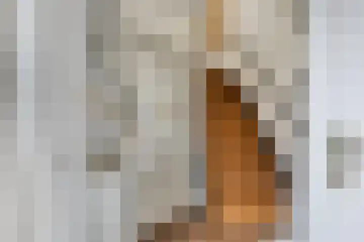 Lisdreef 10 Papendrecht thumbnail 10