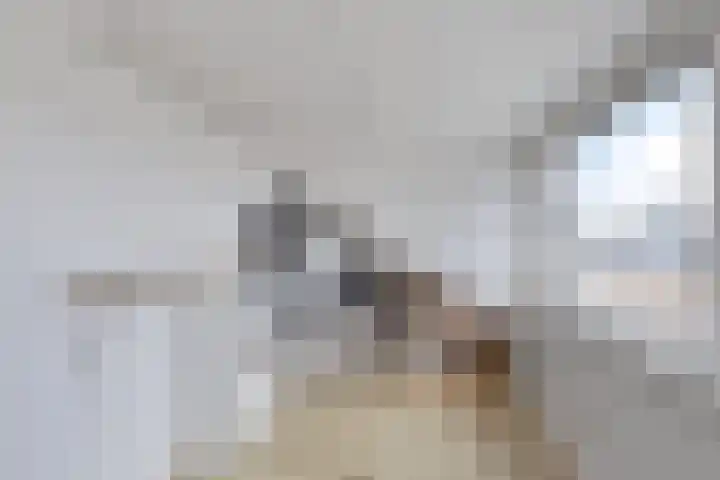 Lisdreef 10 Papendrecht thumbnail 26