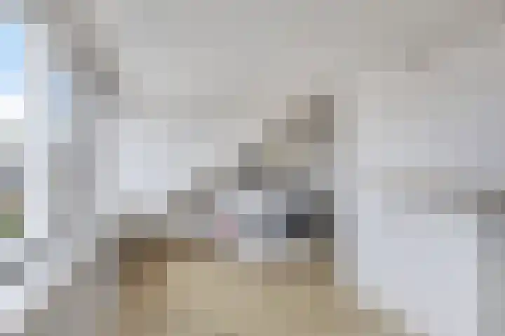 Lisdreef 10 Papendrecht thumbnail 27