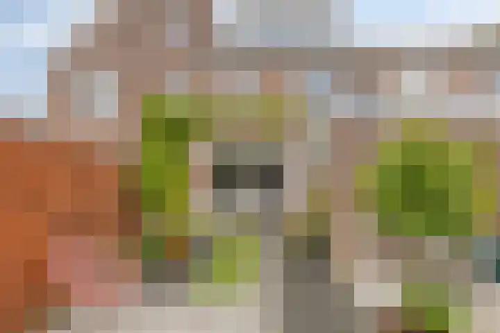 Lisdreef 10 Papendrecht thumbnail 28
