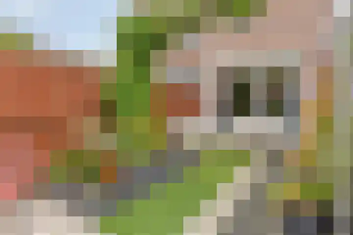 Lisdreef 10 Papendrecht thumbnail 29