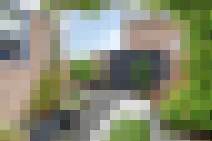Lisdreef 10 Papendrecht thumbnail 31