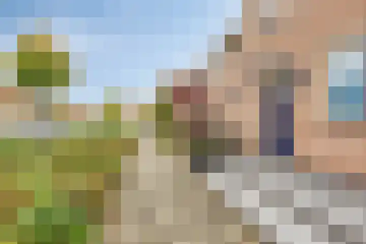 Lisdreef 10 Papendrecht thumbnail 33