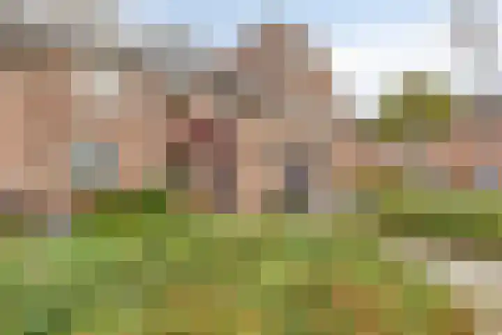 Lisdreef 10 Papendrecht thumbnail 34