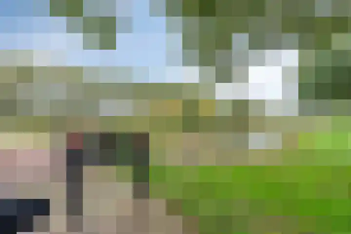 Lisdreef 10 Papendrecht thumbnail 36