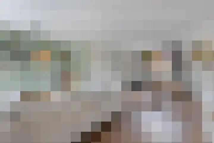 Lisdreef 10 Papendrecht thumbnail 5