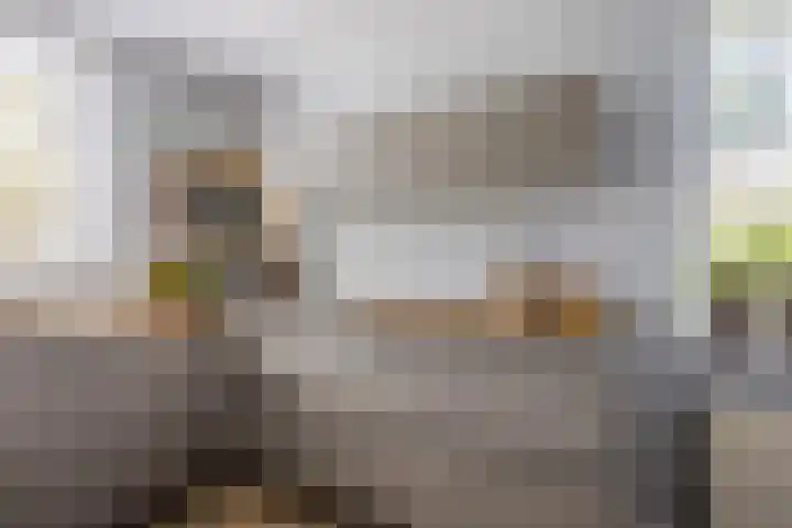 Lisdreef 2 Papendrecht thumbnail 10