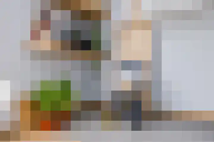 Lisdreef 2 Papendrecht thumbnail 11