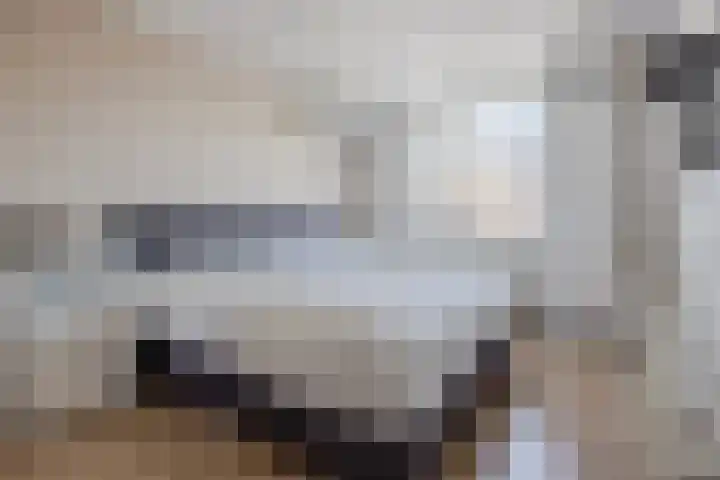 Lisdreef 2 Papendrecht thumbnail 13